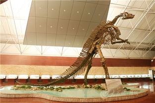 穿越白垩纪，探秘龙城 潍坊诸城开启五一恐龙主题文化旅游盛宴