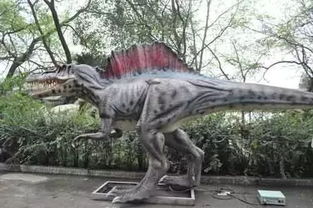 楚雄迎来初雪奇观｜首届飘雪热气球文化节开幕，恐龙园门票免费赠送！